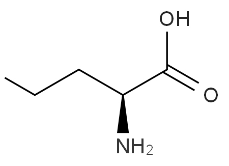 D-2-Aminovaleric acid